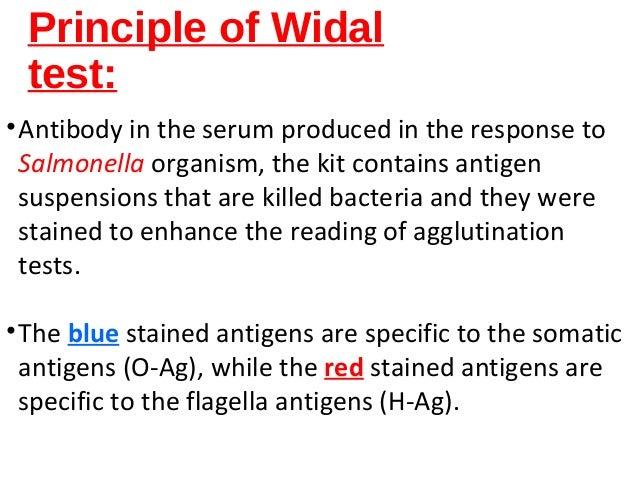 widal test interpretation